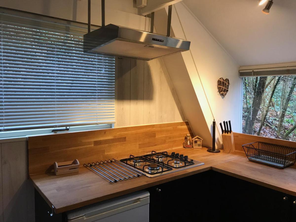 Heavenly Renovated Cabin Near Pittoresque Durbuy - Whistler Villa Buitenkant foto