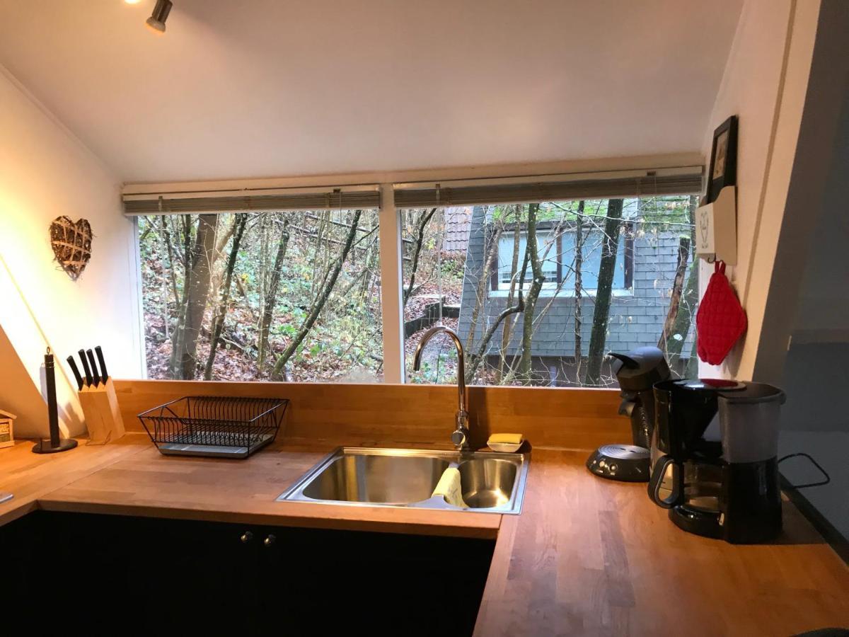Heavenly Renovated Cabin Near Pittoresque Durbuy - Whistler Villa Buitenkant foto