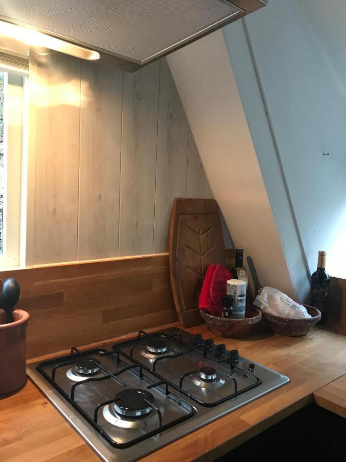 Heavenly Renovated Cabin Near Pittoresque Durbuy - Whistler Villa Buitenkant foto